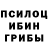 Псилоцибиновые грибы Psilocybe Profesor 5