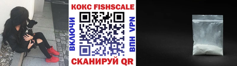 где можно купить   Лермонтов  COCAIN VHQ 