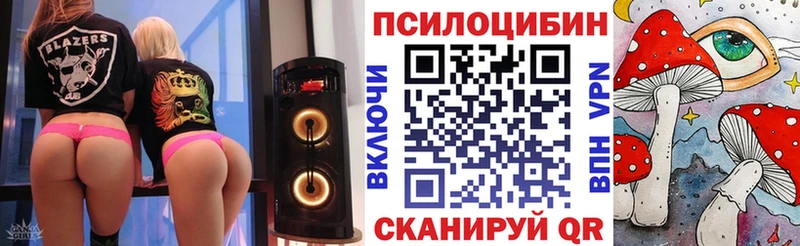 хочу наркоту  Лермонтов  Псилоцибиновые грибы мицелий 